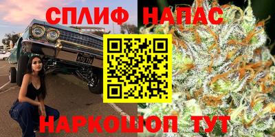 стафф Усть-Джегута