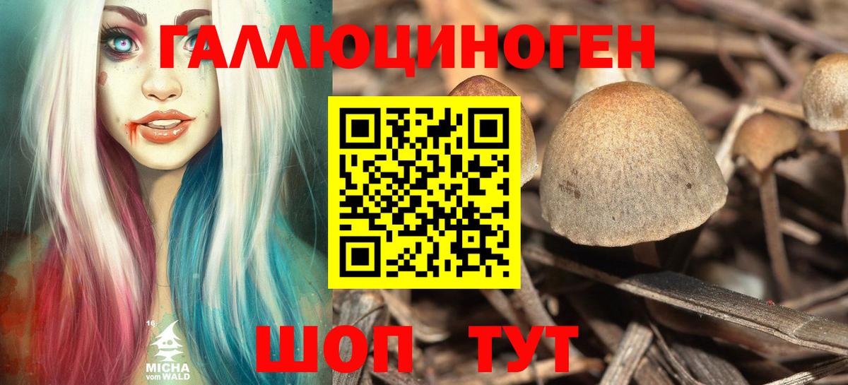 Галлюциногенные грибы мицелий Элиста