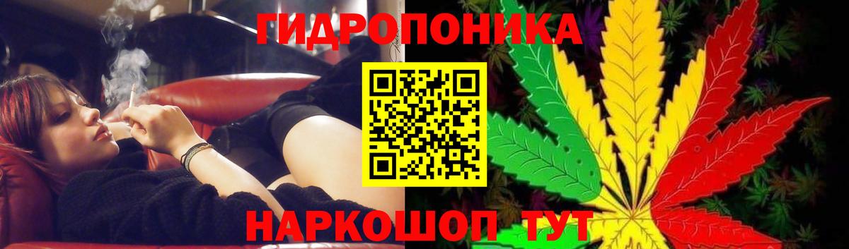 Шишки марихуана ГИДРОПОН  Каннабис ГИДРОПОН  Канабис конопля  Вход с VPN  Элиста  Шишки марихуана Amnesia 